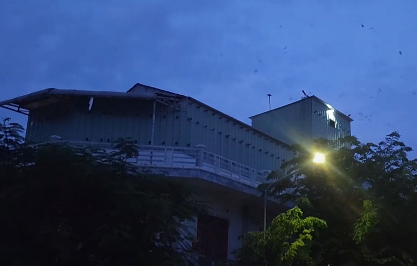 ( Có Video ) Xây dựng và Nâng cấp Trọn Gói – Nhà Yến 200m2 – Đồng tháp